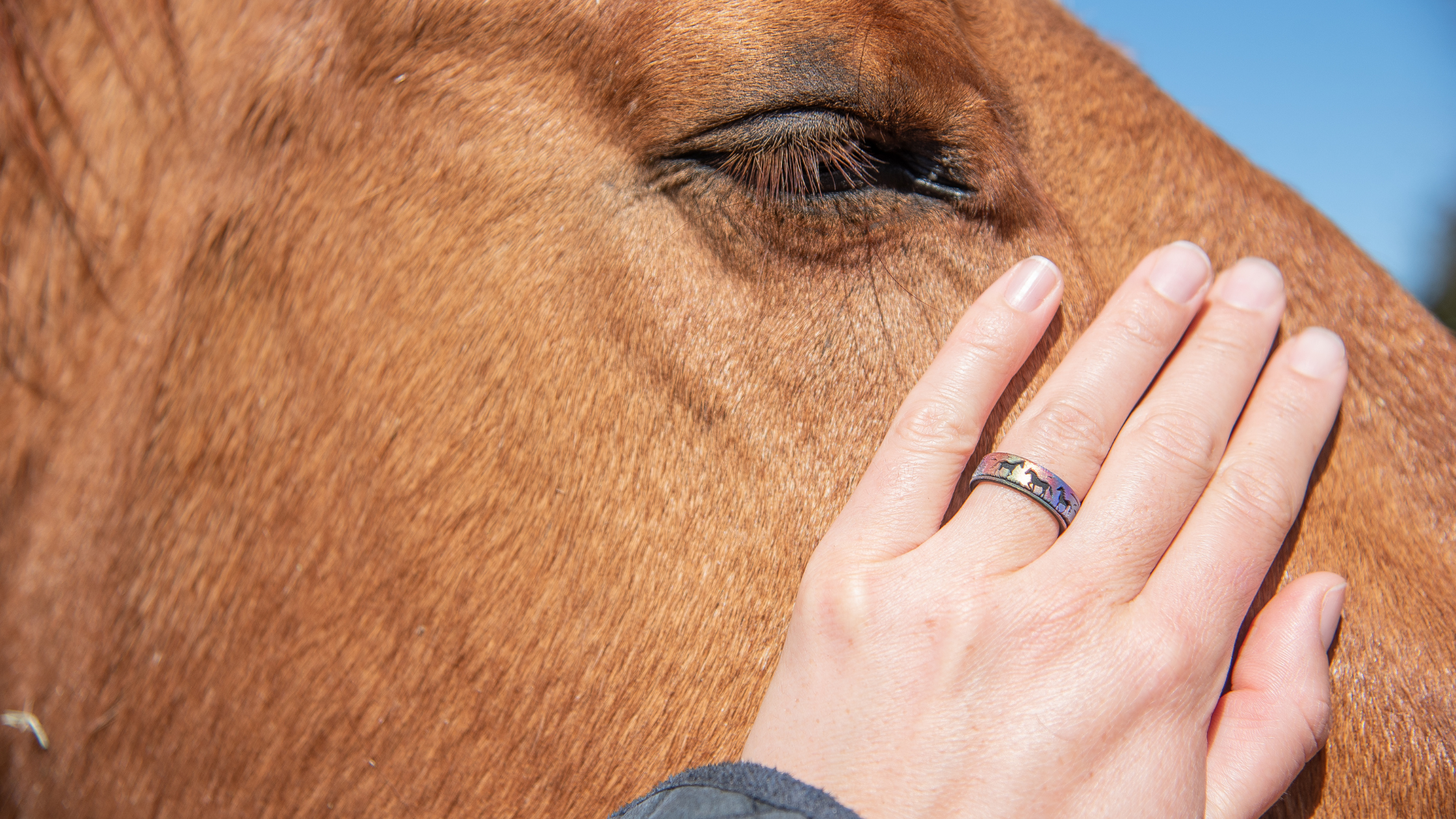 When Reins Meet Rings: For the Rider's Hand
