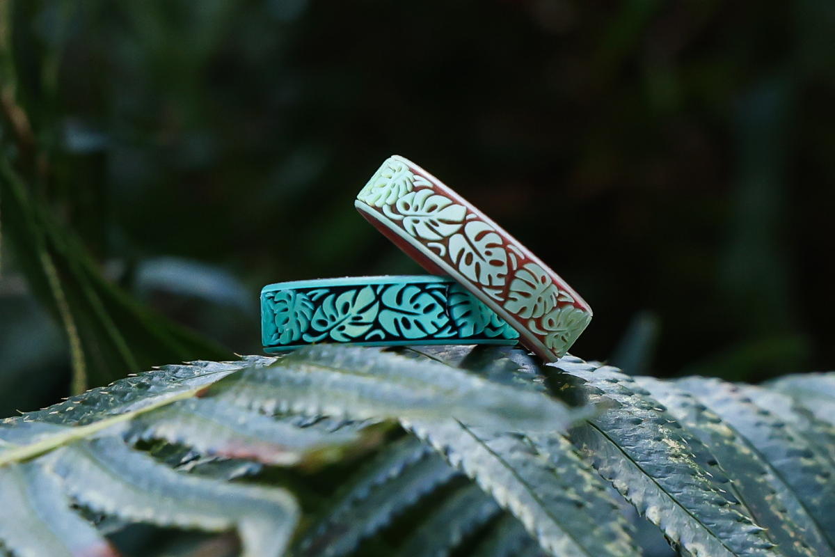 Monstera Launch - Plant  moms