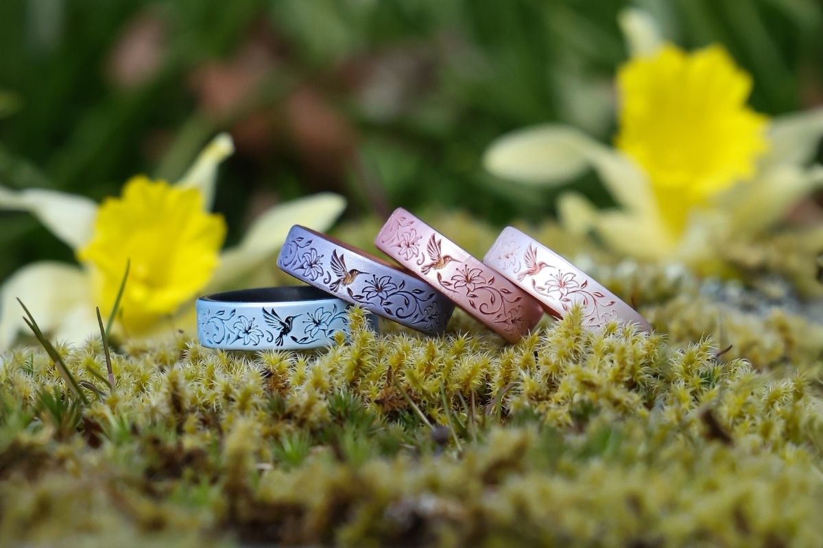 Hummingbirds and Cardinals Launch