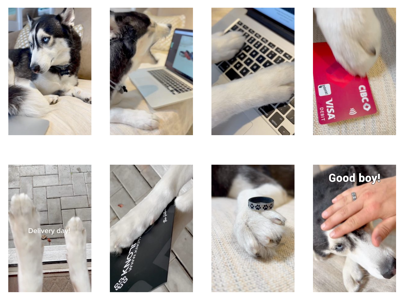 Husky orders Dog Paw Ring for Dad